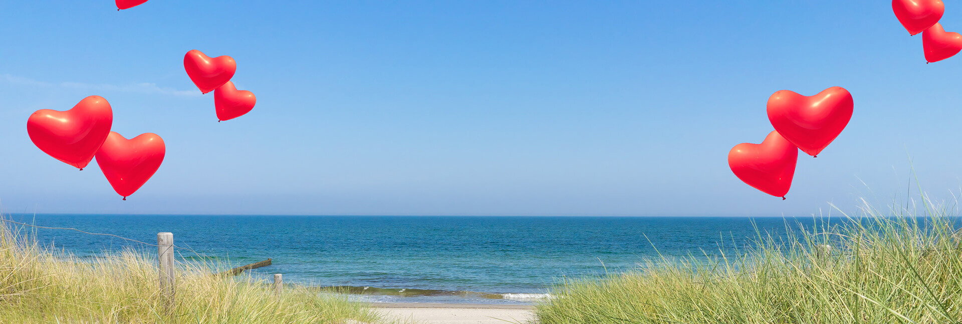 Hochzeitsdampfer - Heiraten an Bord - auf Schiffen